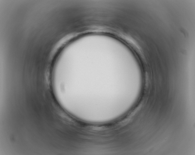 X0000113621318200910161943