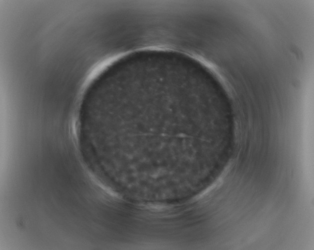 X0000113621319200910161943