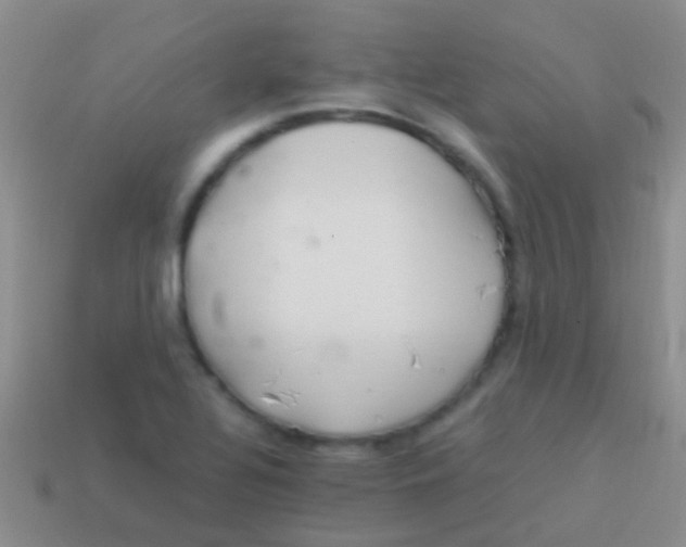 X0000113621320200910161943