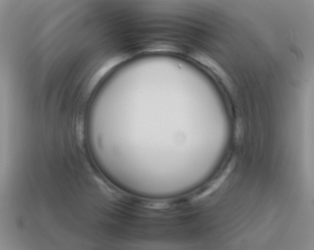 X0000113621321200910161943