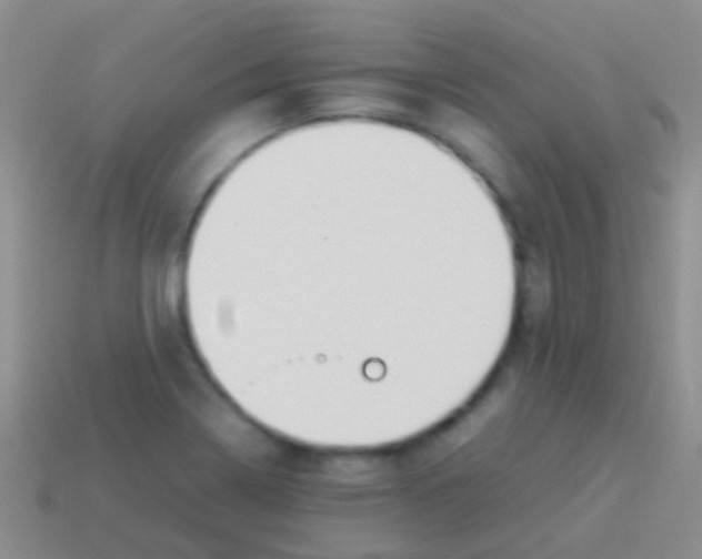 X0000113621322200910161943