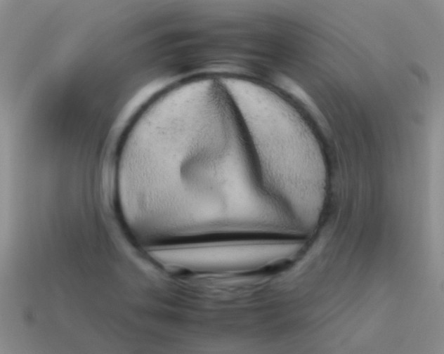 X0000113621323200910161943