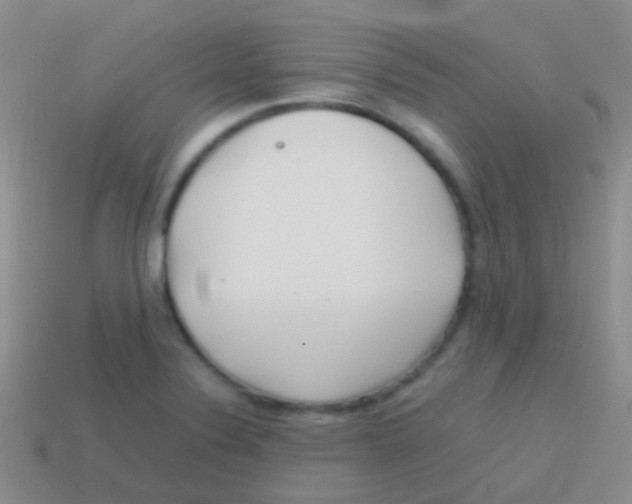 X0000113621324200910161943