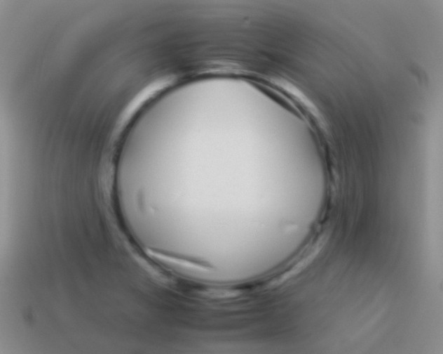 X0000113621325200910161943