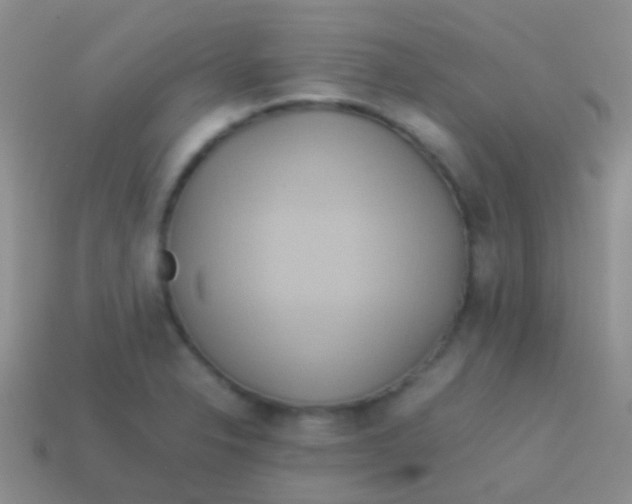 X0000113621326200910161943