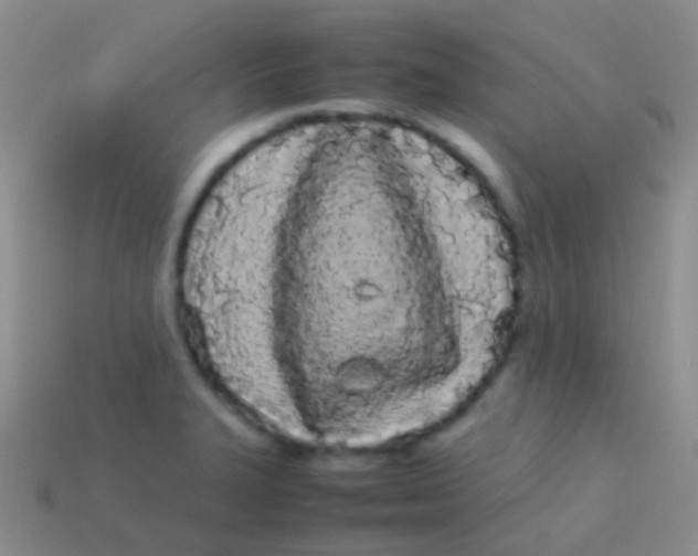 X0000113621327200910161943