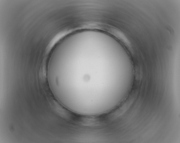 X0000113621328200910161944