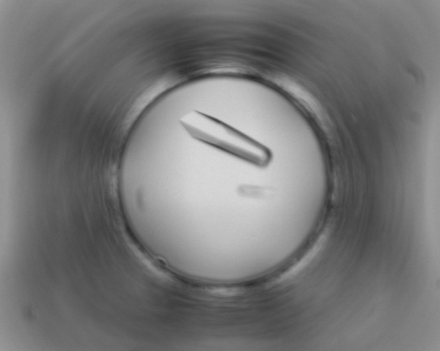 X0000113621329200910161944