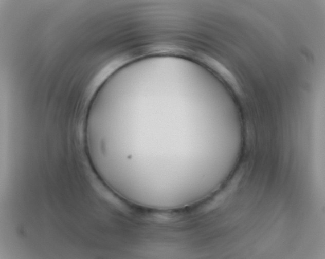 X0000113621330200910161944