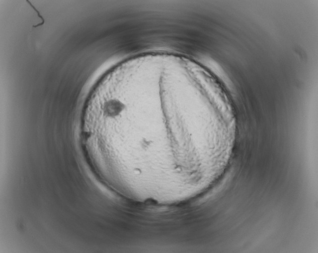 X0000113621331200910161944