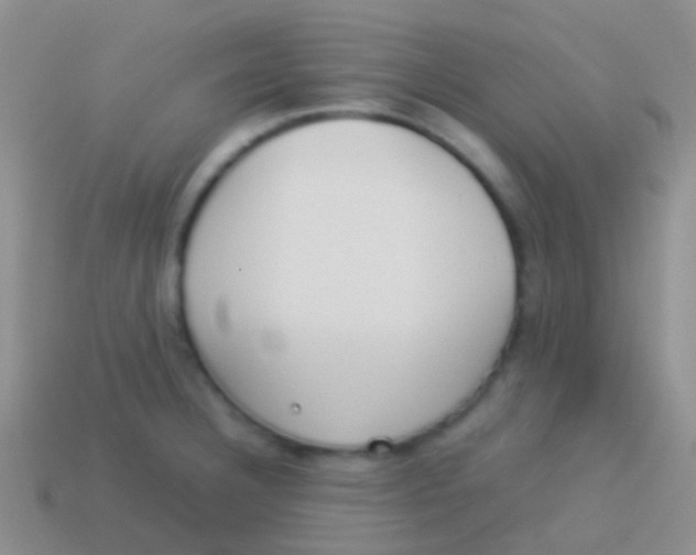 X0000113621332200910161944