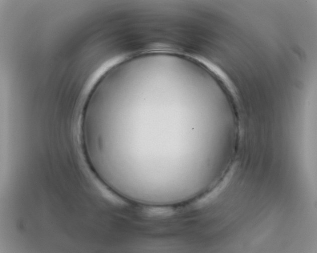 X0000113621333200910161944