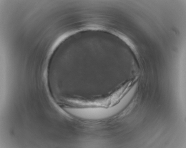 X0000113621334200910161944