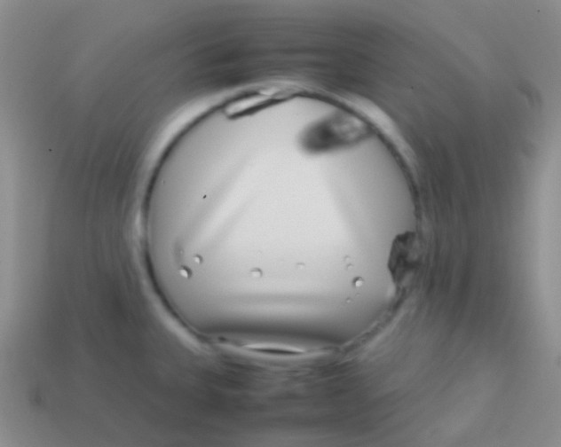 X0000113621335200910161944