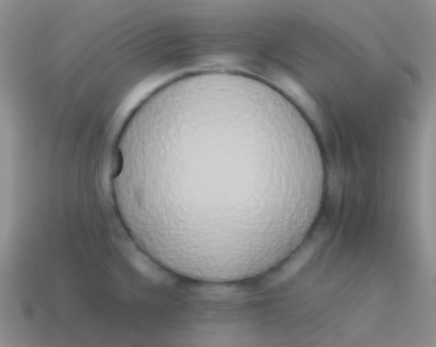 X0000113621336200910161944