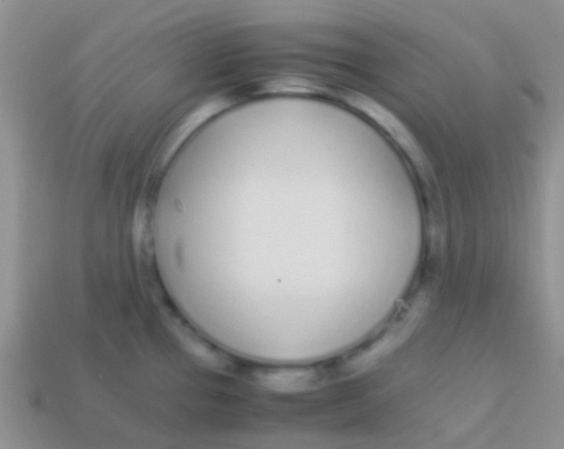 X0000113621337200910161944