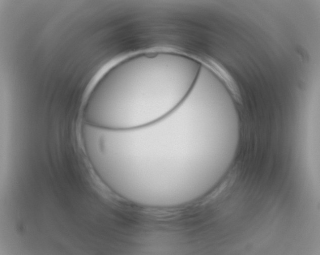 X0000113621340200910161944