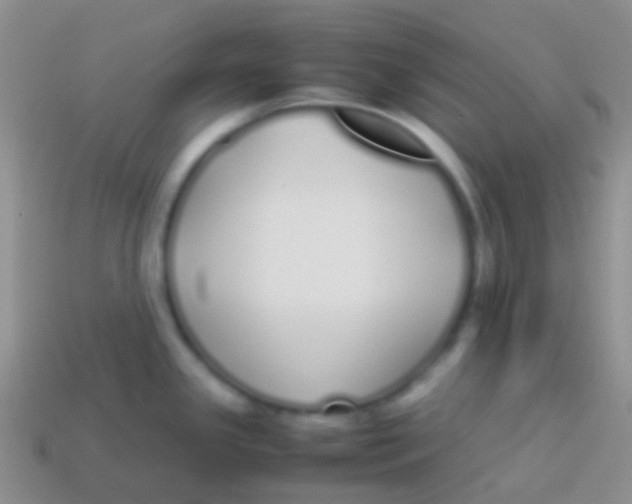 X0000113621341200910161944