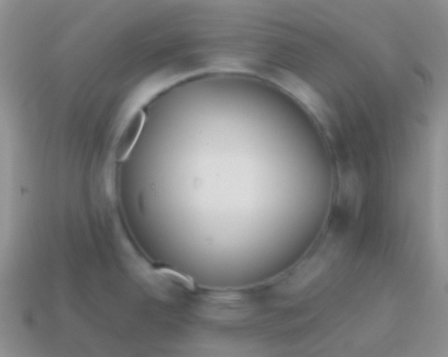 X0000113621342200910161944