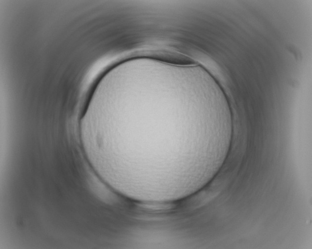 X0000113621344200910161944