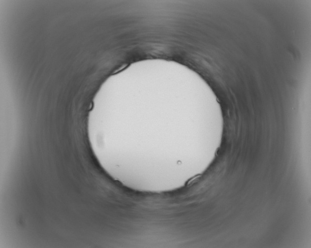 X0000113621345200910161943
