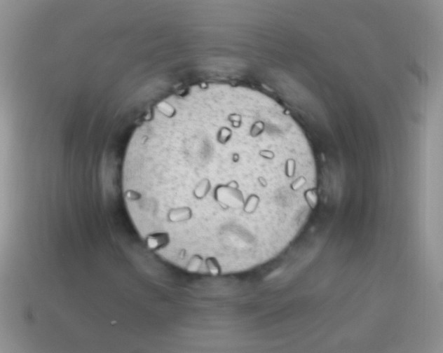 X0000113621346200910161943