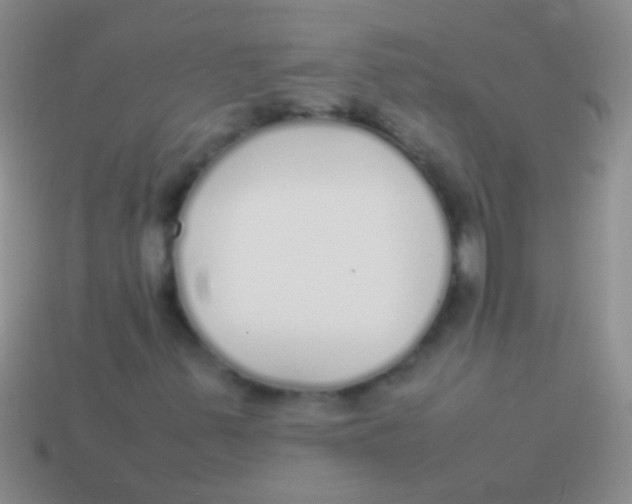 X0000113621347200910161943