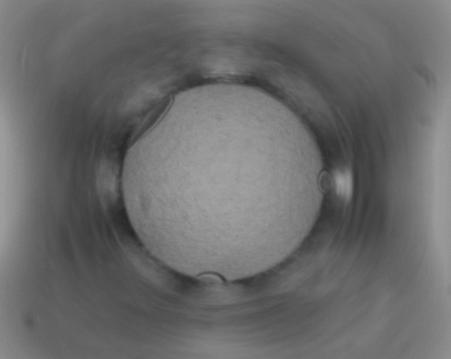X0000113621348200910161943