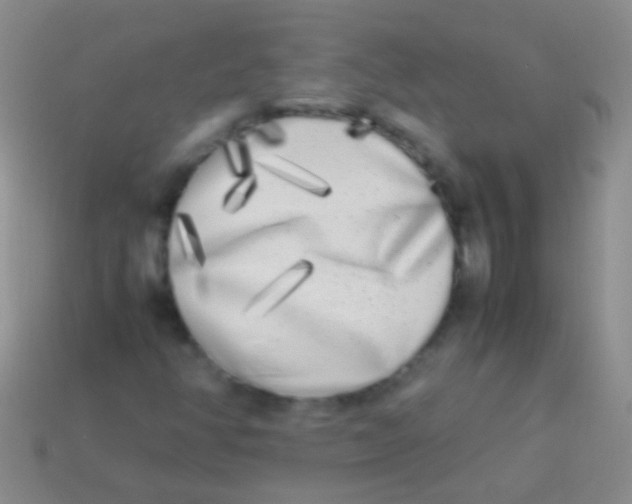X0000113621350200910161943