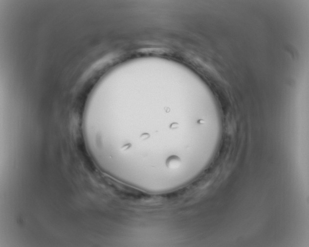 X0000113621351200910161943