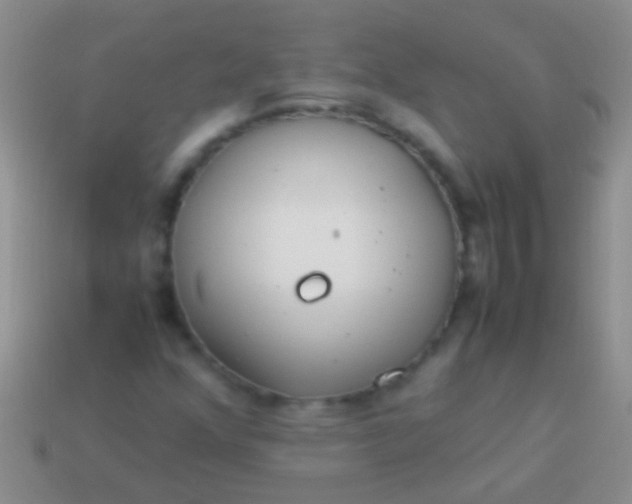 X0000113621352200910161943