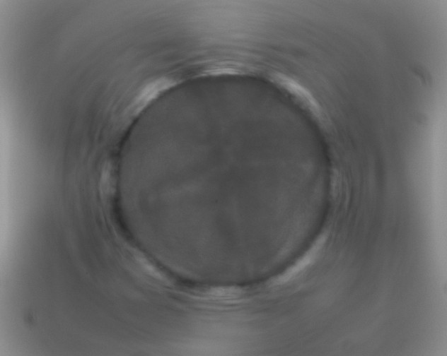X0000113621353200910161943