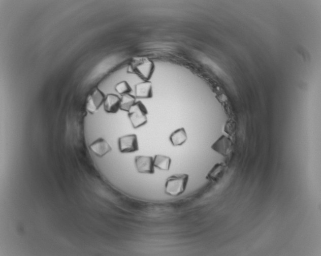 X0000113621354200910161943