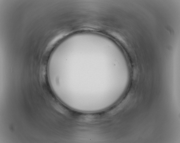 X0000113621355200910161943