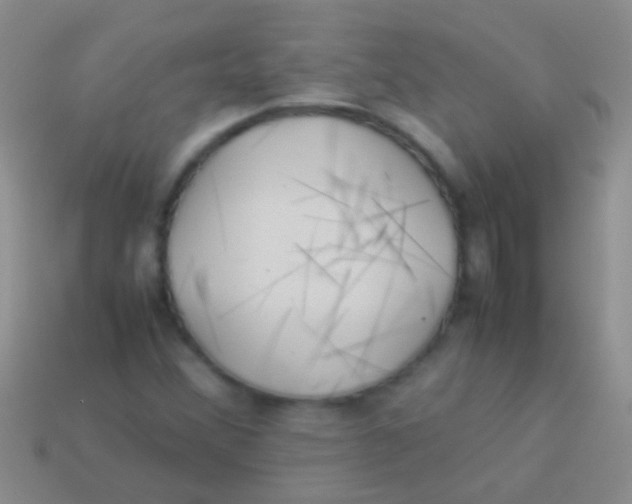 X0000113621356200910161943