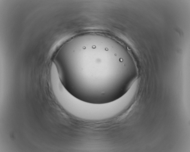 X0000113621357200910161943