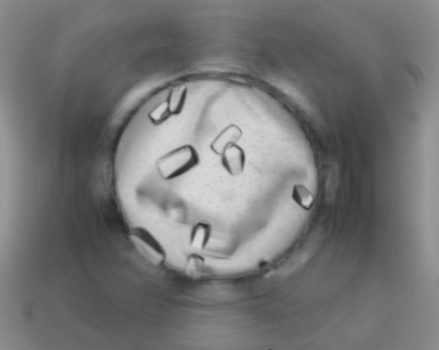 X0000113621358200910161943