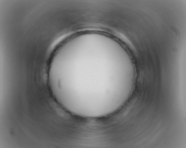 X0000113621360200910161943