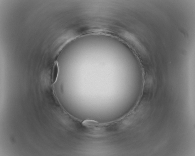 X0000113621361200910161943