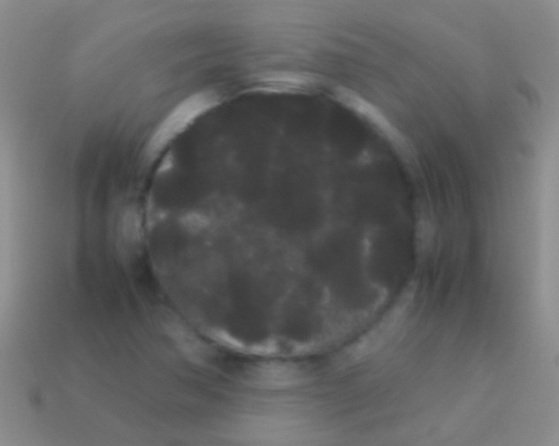 X0000113621362200910161943