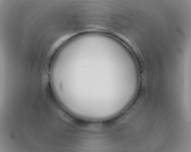 X0000113621363200910161943