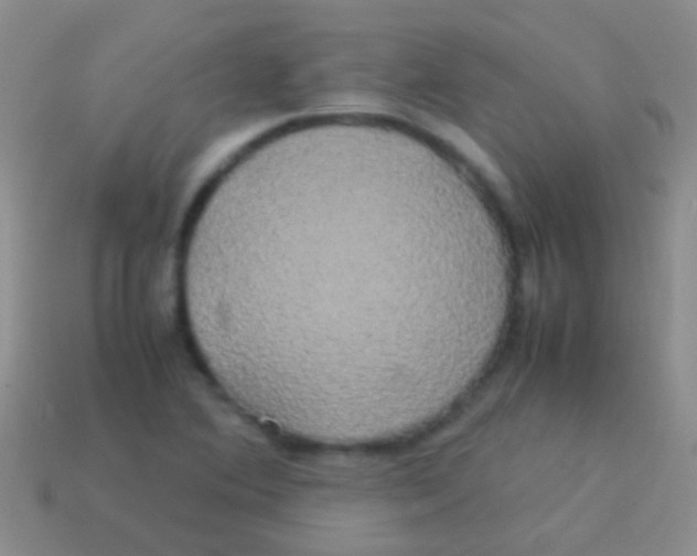 X0000113621364200910161943