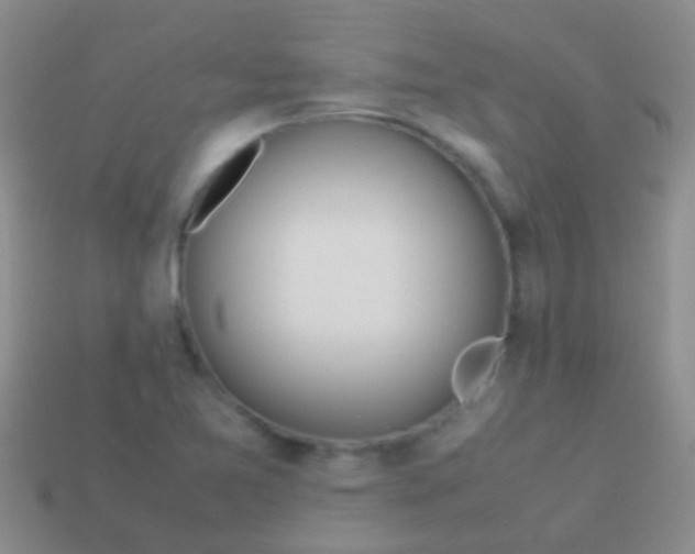 X0000113621365200910161943