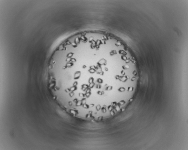 X0000113621366200910161943