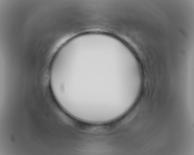 X0000113621367200910161943