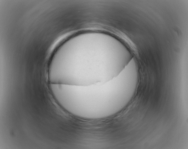 X0000113621368200910161943