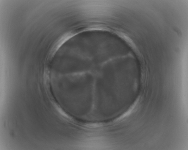 X0000113621369200910161943