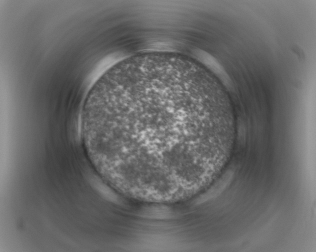 X0000113621370200910161942