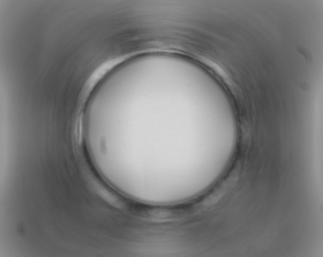 X0000113621371200910161942