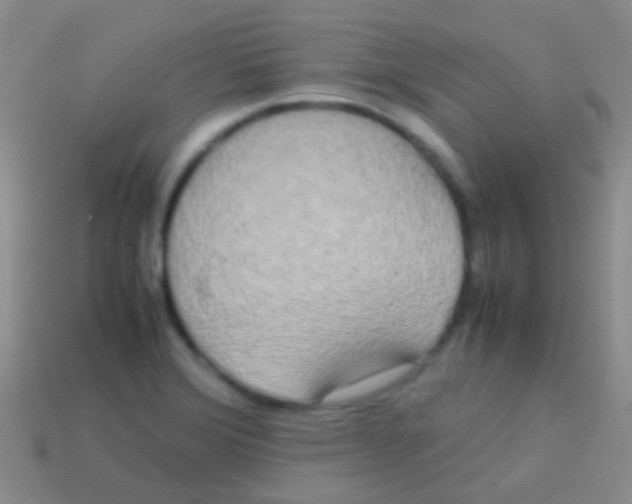X0000113621372200910161942
